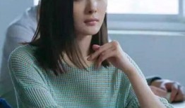 粉丝户外爆料杨幂视频,粉丝捕捉精彩瞬间